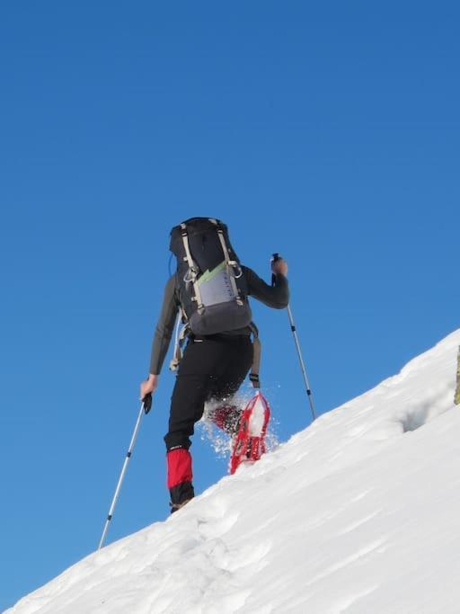 "Le Desman" Confortable T2 A La Montagne Face Aux Thermes Rando, Cure Aulus-les-Bains Exterior photo